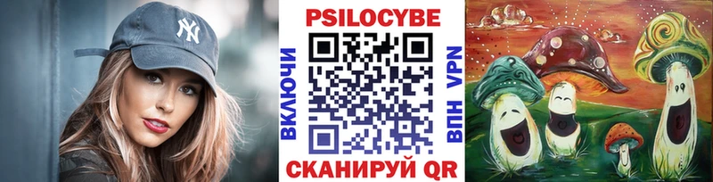 darknet как зайти  Губаха  Псилоцибиновые грибы GOLDEN TEACHER 