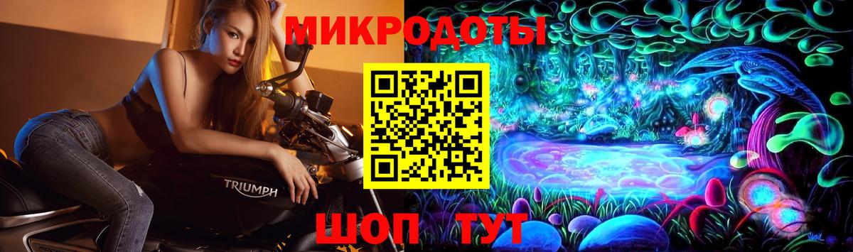 Галлюциногенные грибы прущие грибы  Вход с VPN  Губаха 