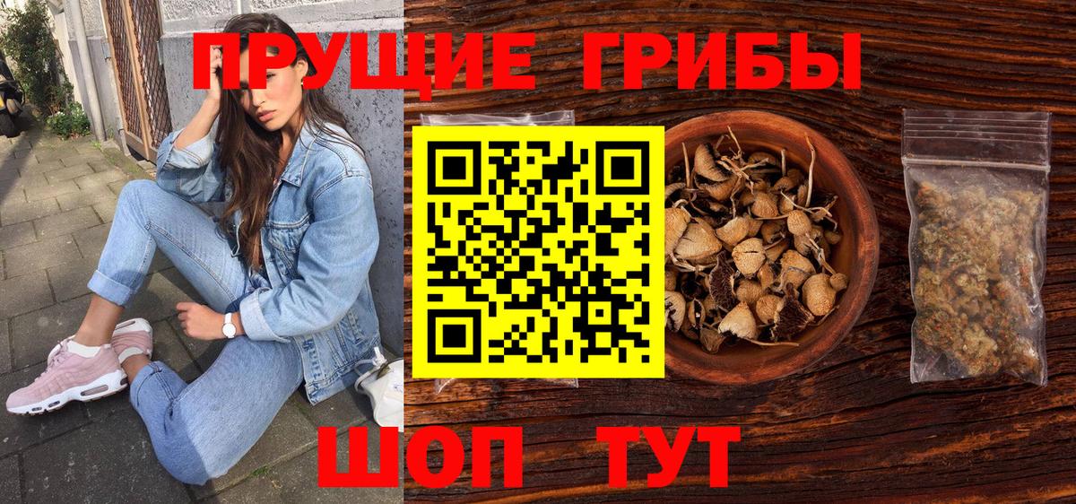 Галлюциногенные грибы Psilocybe Губаха