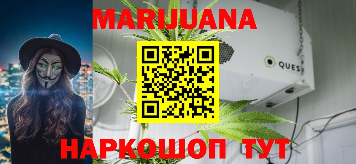 Каннабис гибрид Губаха